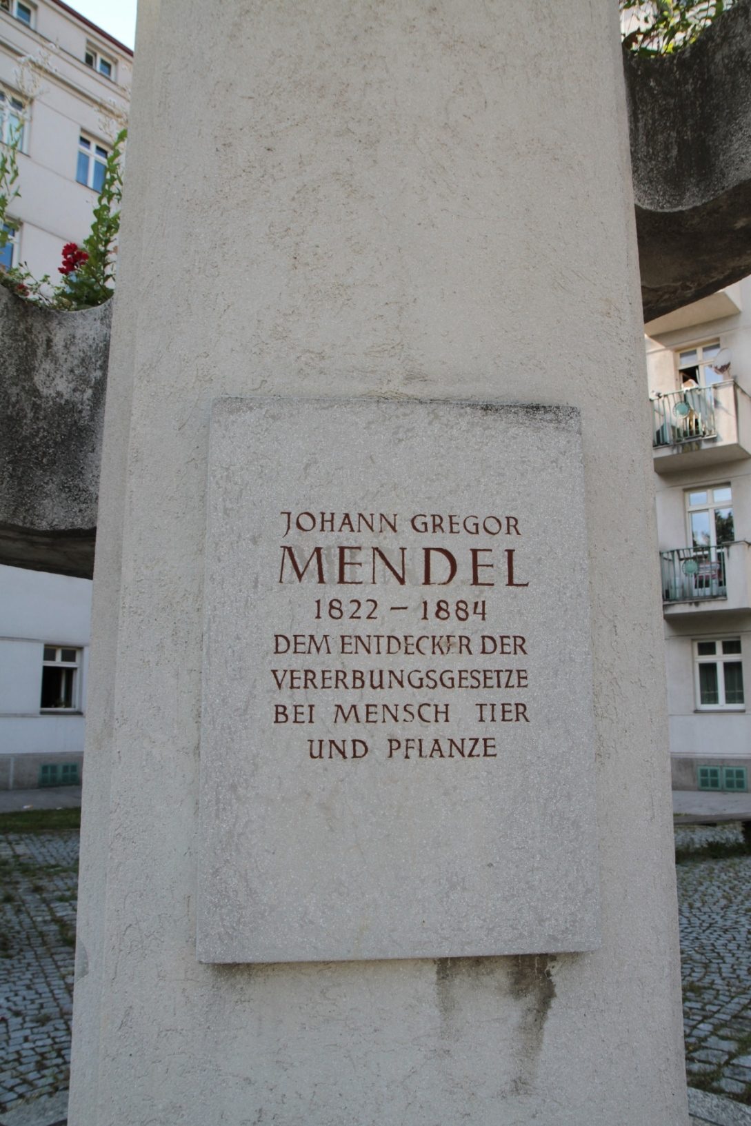 Mendel%20and%20Tschermak%20memorial%2C%20_Vienna%20-%2003.JPG